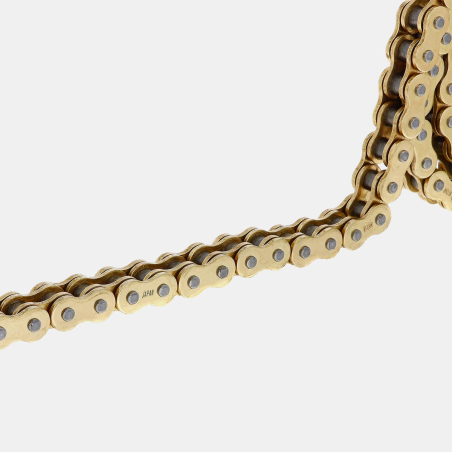 Catena DID 525 Gold and Gold